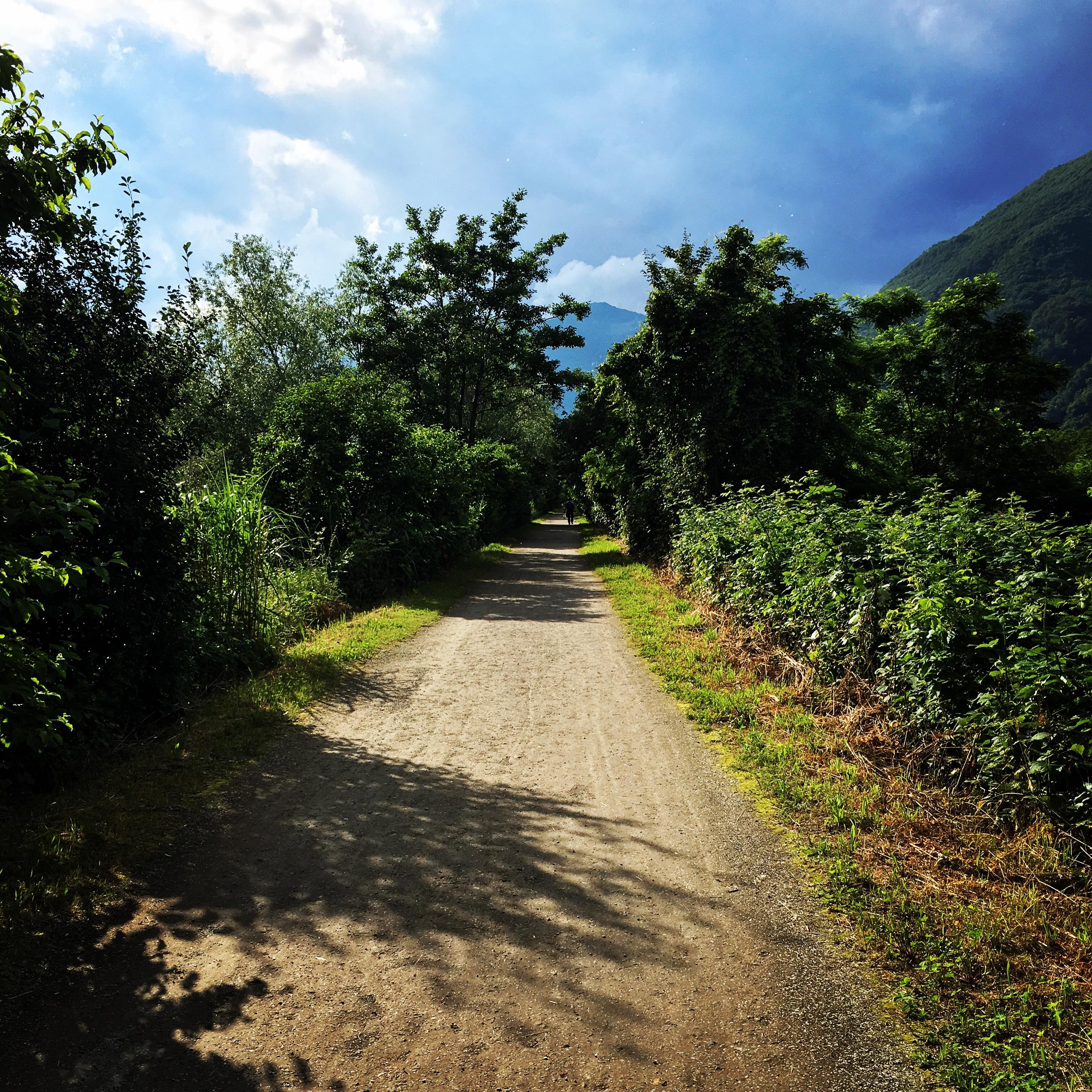 MARATHON-ASCONA-LOCARNO-2016 perfekt gelaufen